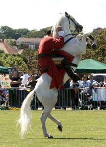 Cossack 4 217x300 - Cossack 4