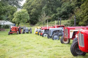 YEALMPTONSHOW 2017 12 300x200 - YEALMPTONSHOW_2017-12