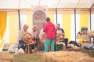 YEALMPTONSHOW 2017 130 300x200 - YEALMPTONSHOW_2017-130