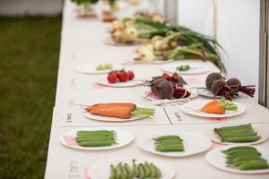 YEALMPTONSHOW 2017 14 300x200 - YEALMPTONSHOW_2017-14