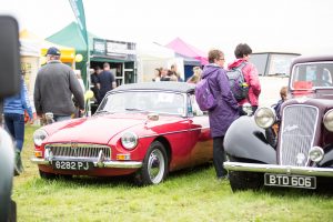 YEALMPTONSHOW 2017 171 300x200 - YEALMPTONSHOW_2017-171