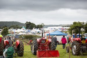 YEALMPTONSHOW 2017 199 300x200 - YEALMPTONSHOW_2017-199