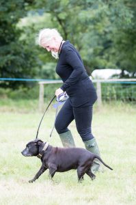 YEALMPTONSHOW 2017 205 199x300 - YEALMPTONSHOW_2017-205