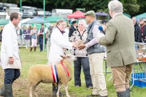 YEALMPTONSHOW 2017 237 300x200 - YEALMPTONSHOW_2017-237