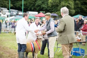 YEALMPTONSHOW 2017 238 300x200 - YEALMPTONSHOW_2017-238