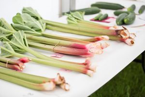 YEALMPTONSHOW 2017 25 300x200 - YEALMPTONSHOW_2017-25