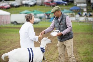 YEALMPTONSHOW 2017 250 300x200 - YEALMPTONSHOW_2017-250