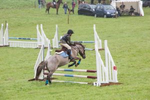 YEALMPTONSHOW 2017 80 300x200 - YEALMPTONSHOW_2017-80