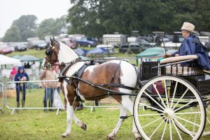 YEALMPTONSHOW 2017 86 300x200 - YEALMPTONSHOW_2017-86