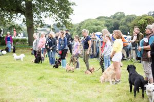 YEALMPTONSHOW 2017 200 300x200 - YEALMPTONSHOW_2017-200