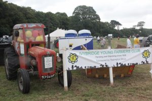 IMG 4082 300x200 - IMG_4082