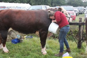 IMG 4123 300x200 - IMG_4123