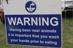 IMG 4128 300x200 - IMG_4128