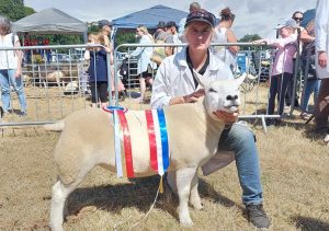 catalogue 300x211 - catalogue