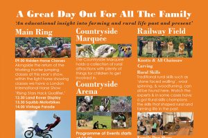 dayout 300x200 - dayout