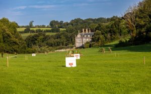 0H0A6890 300x188 - 0H0A6890