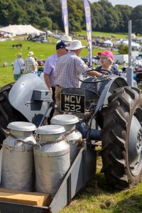 0H0A6989 200x300 - 0H0A6989