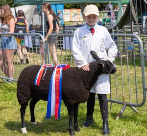 0H0A7077 300x278 - 0H0A7077