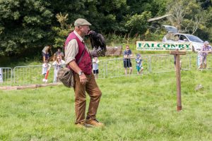 0H0A7356 300x200 - 0H0A7356