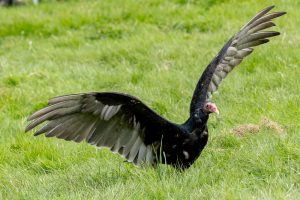 0H0A7394 300x200 - 0H0A7394