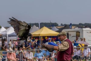 0H0A7403 300x200 - 0H0A7403