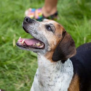 0H0A7455 300x300 - 0H0A7455