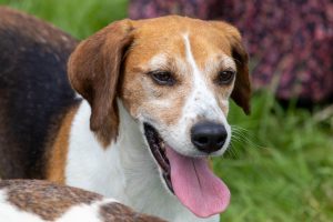 0H0A7457 300x200 - 0H0A7457