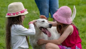 0H0A7468 300x173 - 0H0A7468