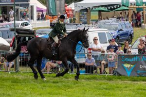 0H0A7524 300x200 - 0H0A7524