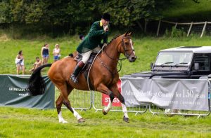 0H0A7537 300x197 - 0H0A7537