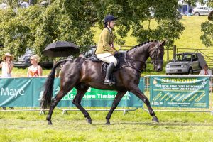 0H0A8070 300x200 - 0H0A8070