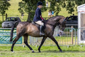 0H0A8083 300x200 - 0H0A8083