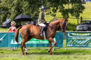 0H0A8093 300x200 - 0H0A8093