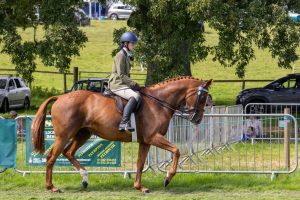 0H0A8098 300x200 - 0H0A8098