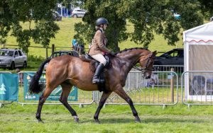 0H0A8101 300x188 - 0H0A8101