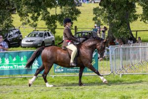 0H0A8108 300x200 - 0H0A8108