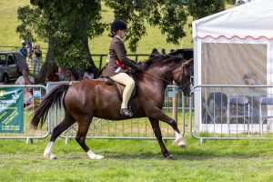 0H0A8111 300x200 - 0H0A8111