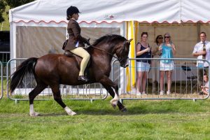 0H0A8114 300x200 - 0H0A8114