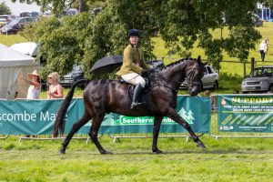 0H0A8116 300x200 - 0H0A8116