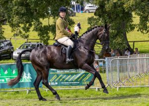 0H0A8119 300x213 - 0H0A8119