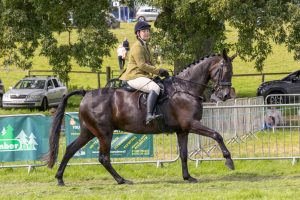 0H0A8120 300x200 - 0H0A8120