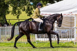 0H0A8124 300x200 - 0H0A8124