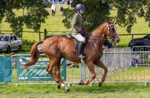 0H0A8139 300x195 - 0H0A8139