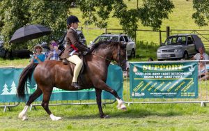 0H0A8151 300x188 - 0H0A8151