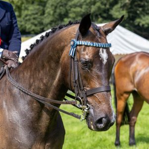 0H0A8173 300x300 - 0H0A8173