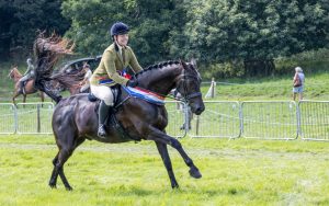 0H0A8223 300x188 - 0H0A8223