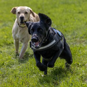 0H0A8325 300x300 - 0H0A8325