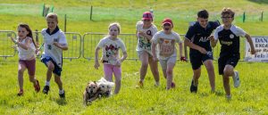 0H0A8370 300x129 - 0H0A8370