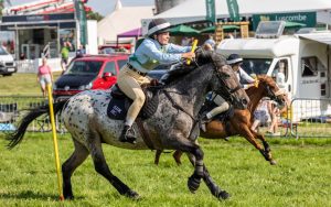 0H0A8436 300x188 - 0H0A8436