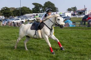 0H0A8484 Enhanced NR 300x200 - 0H0A8484-Enhanced-NR